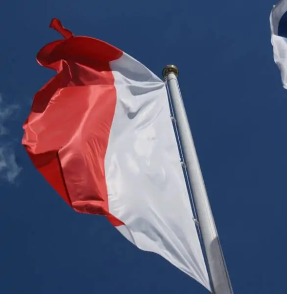 flaga polska na maszcie flaga polska pionowa